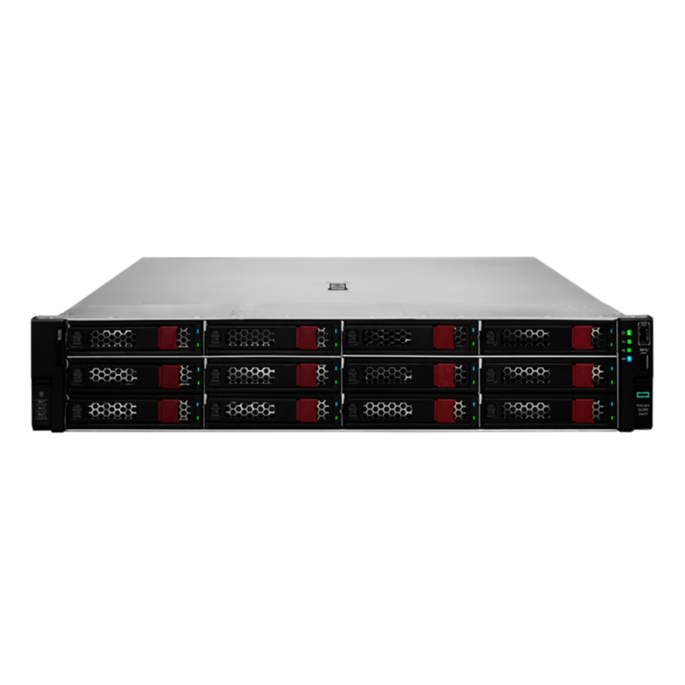 HPE DL380 Gen11 Server (P52562-B21)